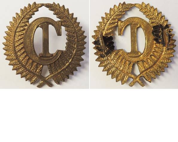 B04/244. CI CAMP, brass cap badge