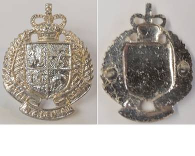 B08/129. ROYAL N.Z. DENTAL CORPS, anodised collar badge