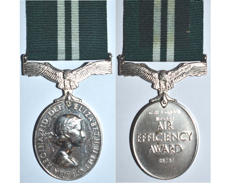 ESA099. ROYAL N.Z. AIR FORCE AIR EFFICIENCY AWARD EIIR - Green